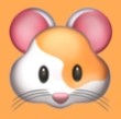 WWW,zzz24·COM网站APPAPP应用