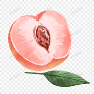 WWW,339se·COM网站APPAPP应用